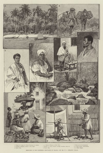 Sketches in the Northern Provinces of Brazil by Amedee Forestier
